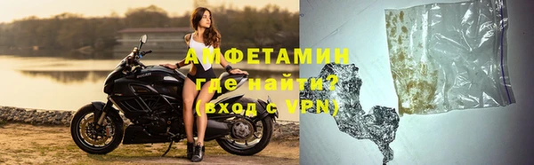 гидра Елабуга