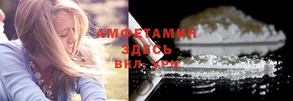 гидра Елабуга