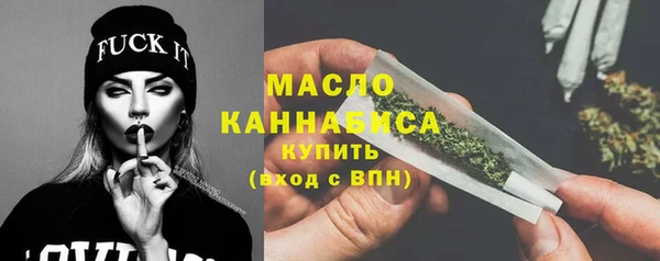 тгк Дмитриев