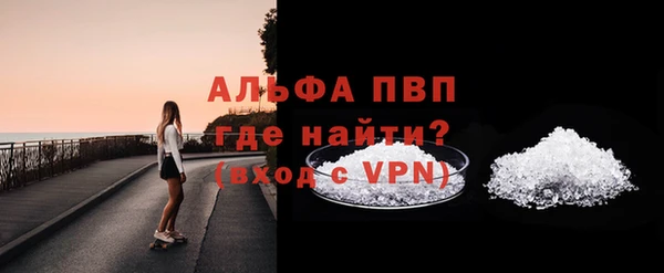 гидра Елабуга