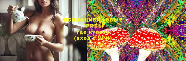 марки lsd Ельня