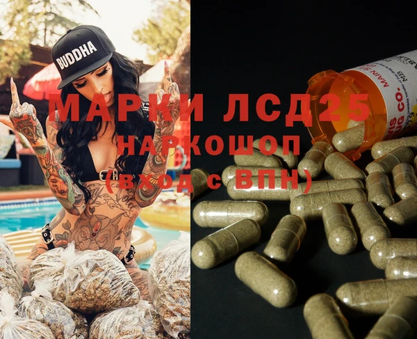 гидра Елабуга
