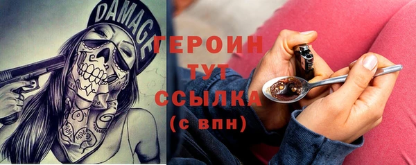 гидра Елабуга