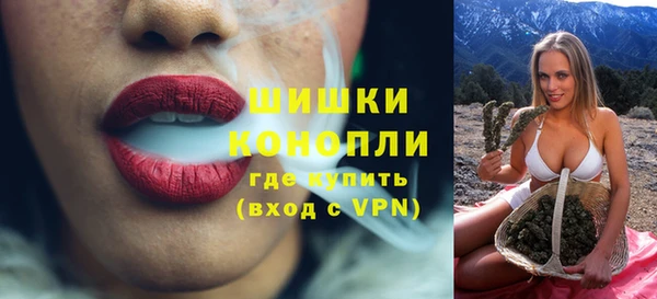 гидра Елабуга
